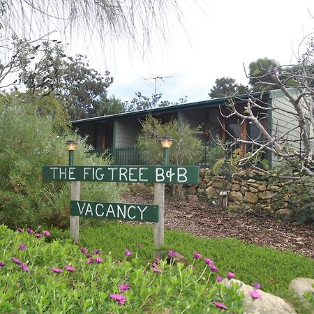 The Fig Tree B&B Baudin Beach Luaran gambar